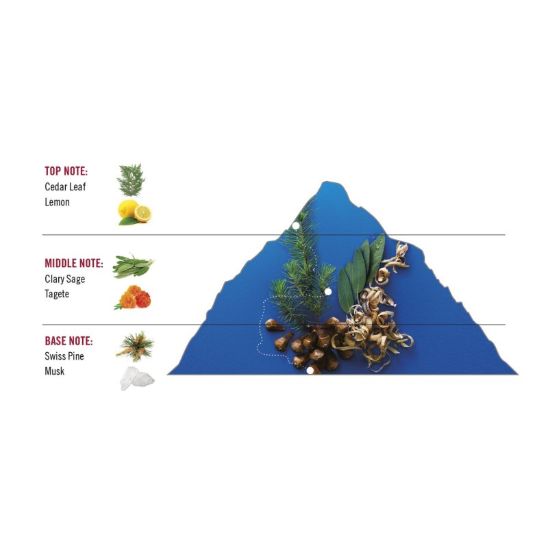 Victorinox Swiss Army Altitude Eau de Toilette for Men with Cedar Leaf and Lemon 100ml