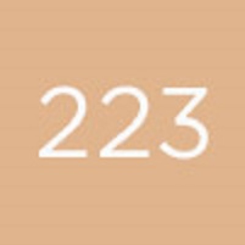 Diego dalla Palma Geisha Lift Foundation, Sand 223