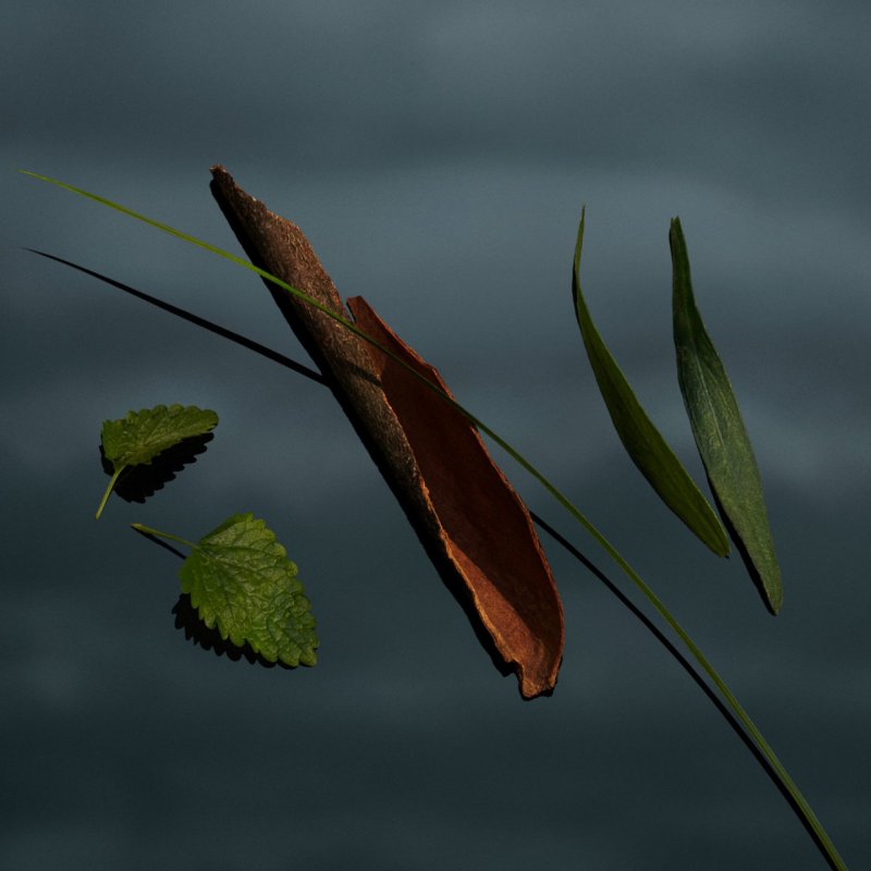 Mr. Burberry Eau De Parfum Spray 50ml