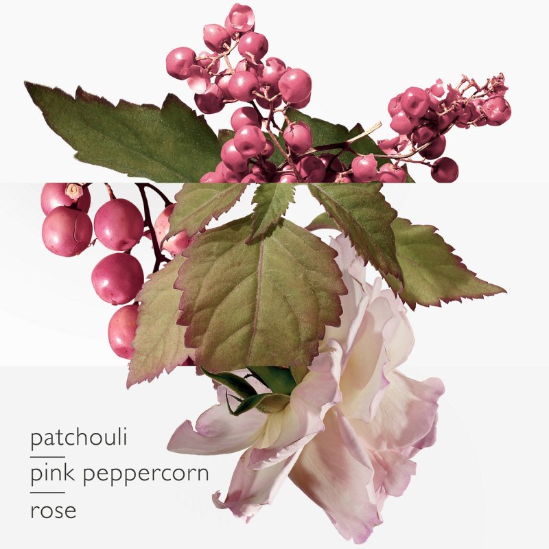 Hermes Twilly D'hermes Eau Poivree Eau De Parfum 50ml