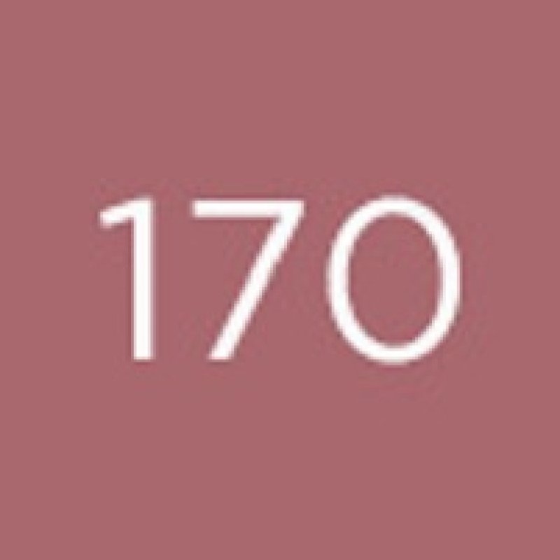 Diego dalla Palma Matt Eyeshadow ombre à paupière 170 Grape purple Mat