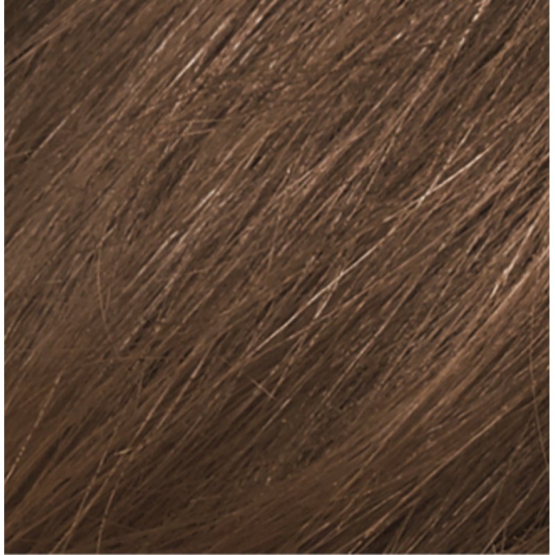 Naturtint Permanent Coloration 6G Dark Golden Blonde