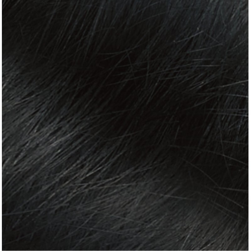 Naturtint Permanent couleur de cheveux Noir 170 ml