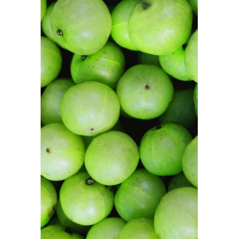 Khadi Ayurvedic Hair Oil strong Amla Huile de cheveux 50 ml Femmes