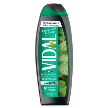 VIDAL DOC Shower Gel 250ml - Mint Ginkgo