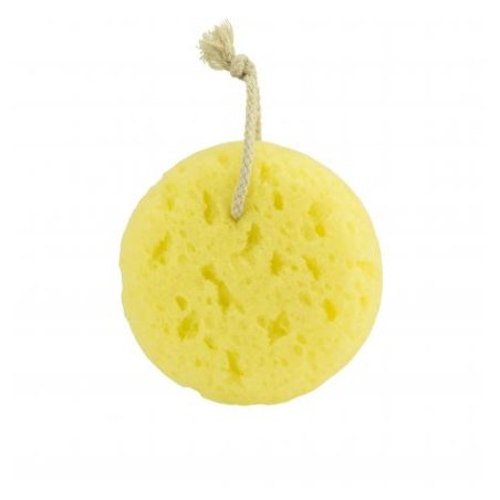 Beter Sea sponge imitation