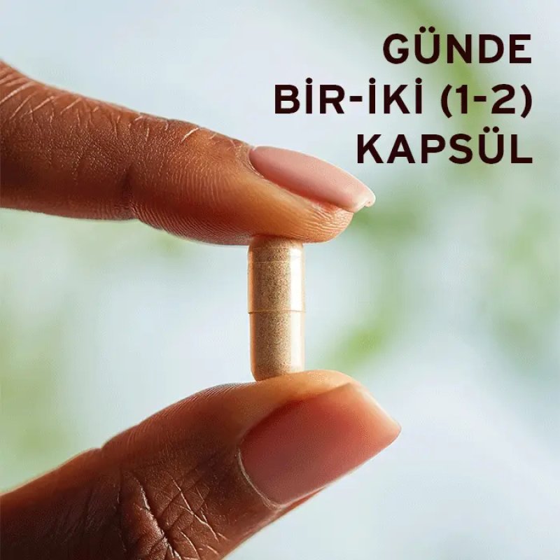 Solgar Ginkgo Biloba Leaf Extract Capsule