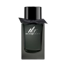 Burberry Mr. 150 ml Hommes