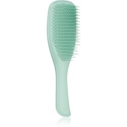 Tangle Teezer Ultimate Detangler Fine & Fragile Dark Teal - Hair Brush for All Hair Types, 1 Piece