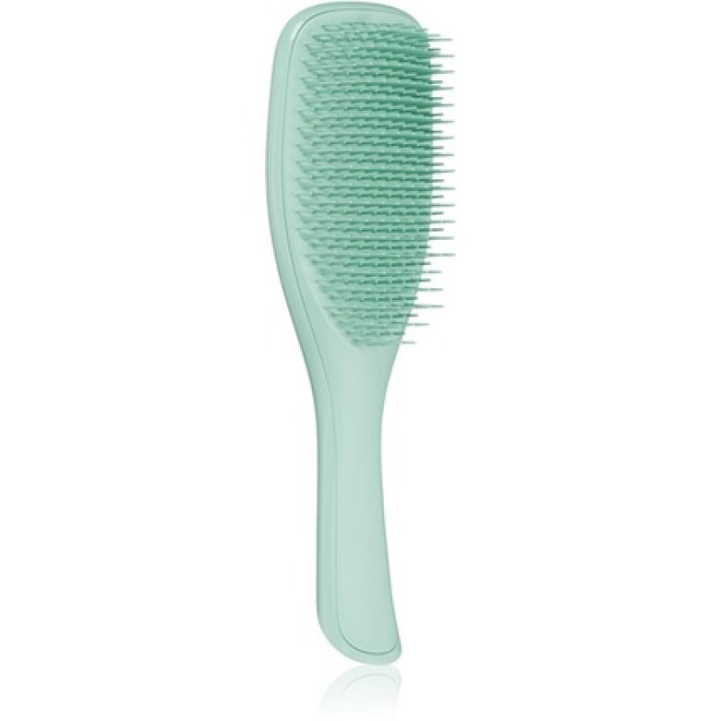 Tangle Teezer Ultimate Detangler Fine & Fragile Dark Teal - Hair Brush for All Hair Types, 1 Piece