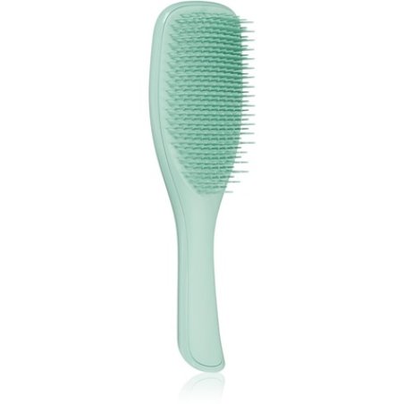 Tangle Teezer Ultimate Detangler Fine & Fragile Dark Teal - Hair Brush for All Hair Types, 1 Piece