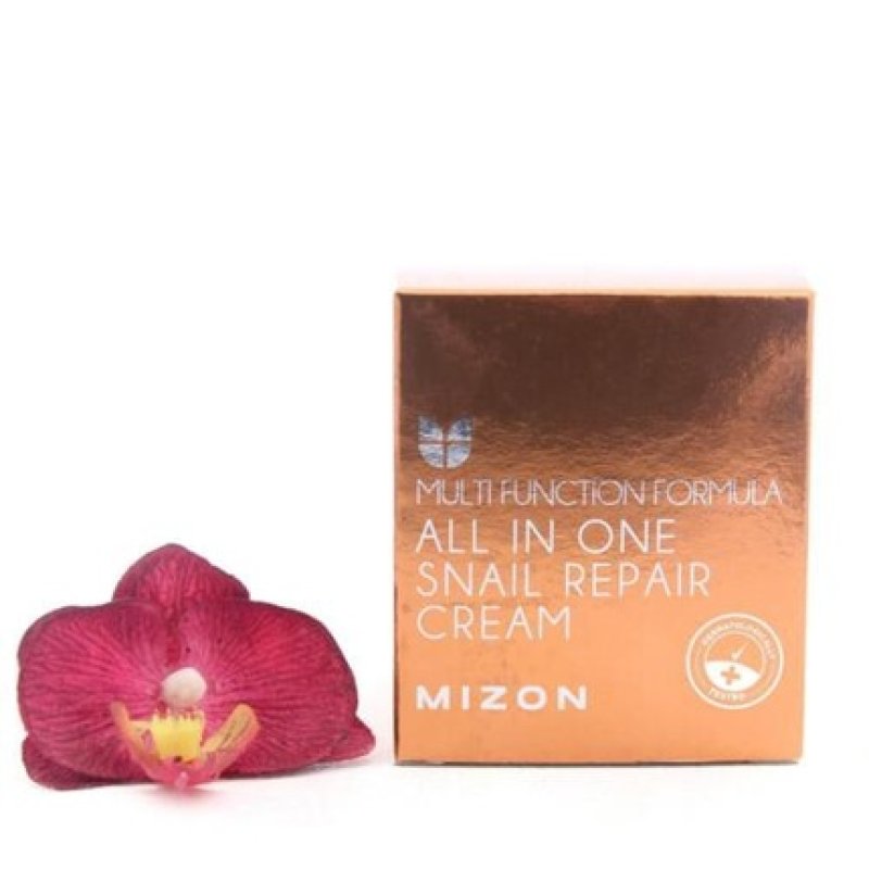 Mizon All In One Snail Repair Cream 75g