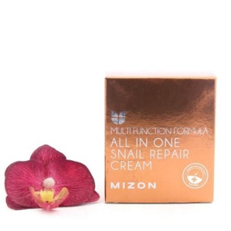 Mizon All In One Snail Repair Cream 75g