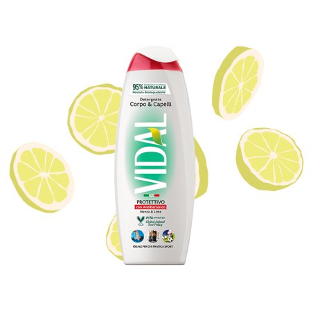 VIDAL DOCCIA 250 ML ANTIBACTERIAL