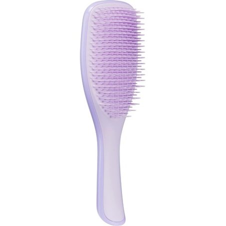 Tangle Teezer The Fine and Fragile Ultimate Detangler Hairbrush for Wet & Dry Hair Color Treated Fine Fragile Hair