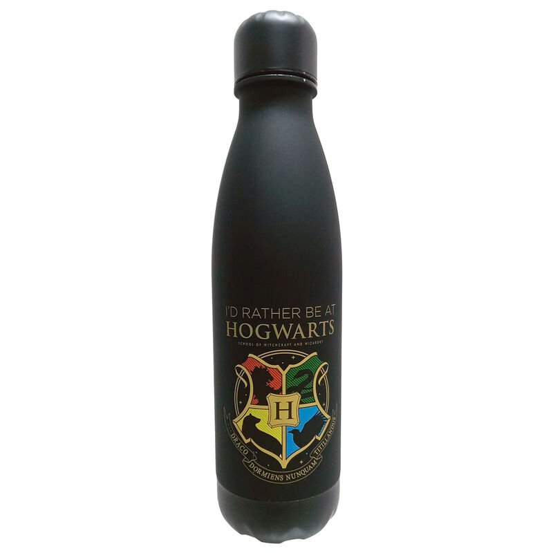 Harry Potter Hogwarts aluminium bottle