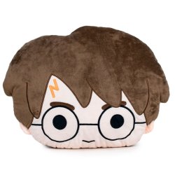 HARRY POTTER - Coussin Harry Potter