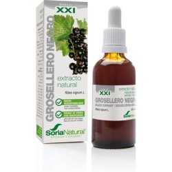 Black Currant Formula XXI Natural Extract Soria Natural 50ml