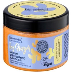 Natura Siberica Skin Evolution Body Cleanser Icy Ginger 300ml