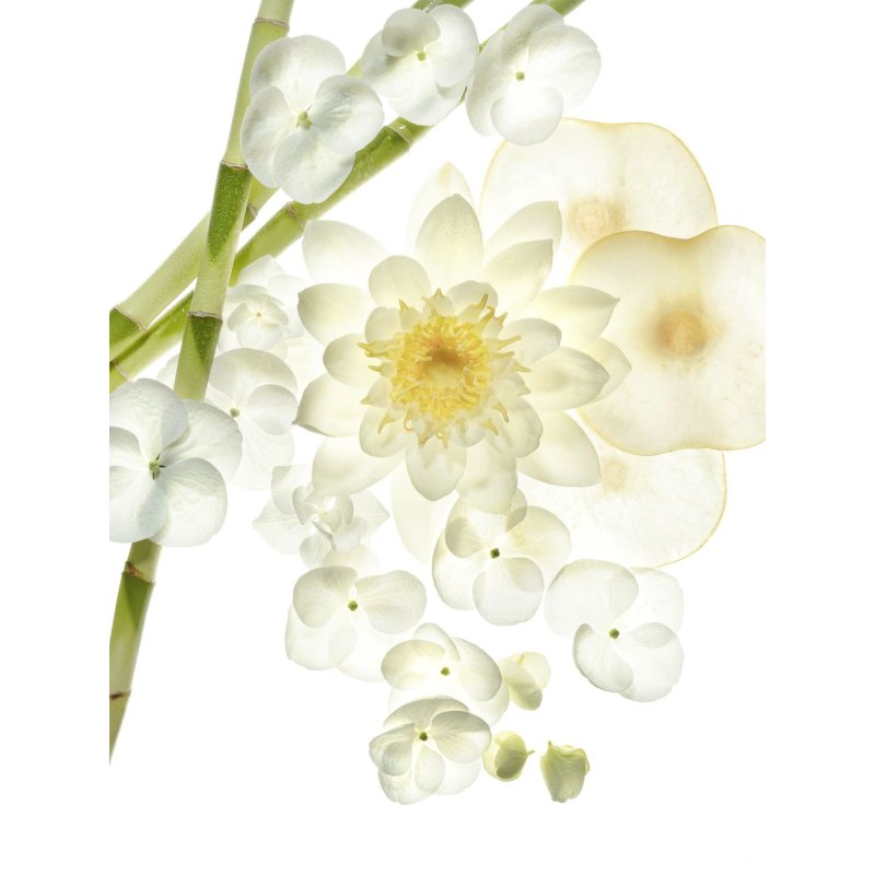 BVLGARI Omnia Crystalline