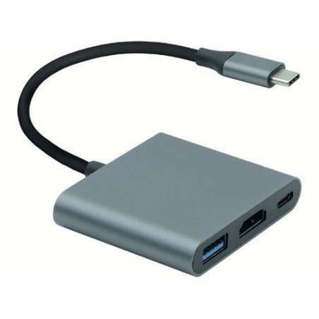 ROLINE 12.03.3199 adaptateur graphique USB 3840 x 2160 pixels Gris
