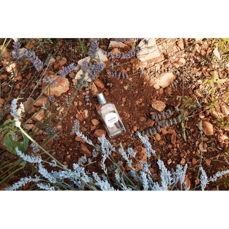 L'OCCITANE White Lavender Eau de Toilette 50ml Fresh and Citrusy Fragrance