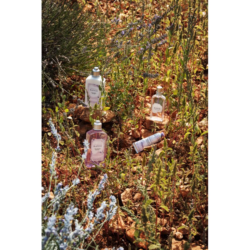 L'Occitane White Lavender 50 ml Femmes