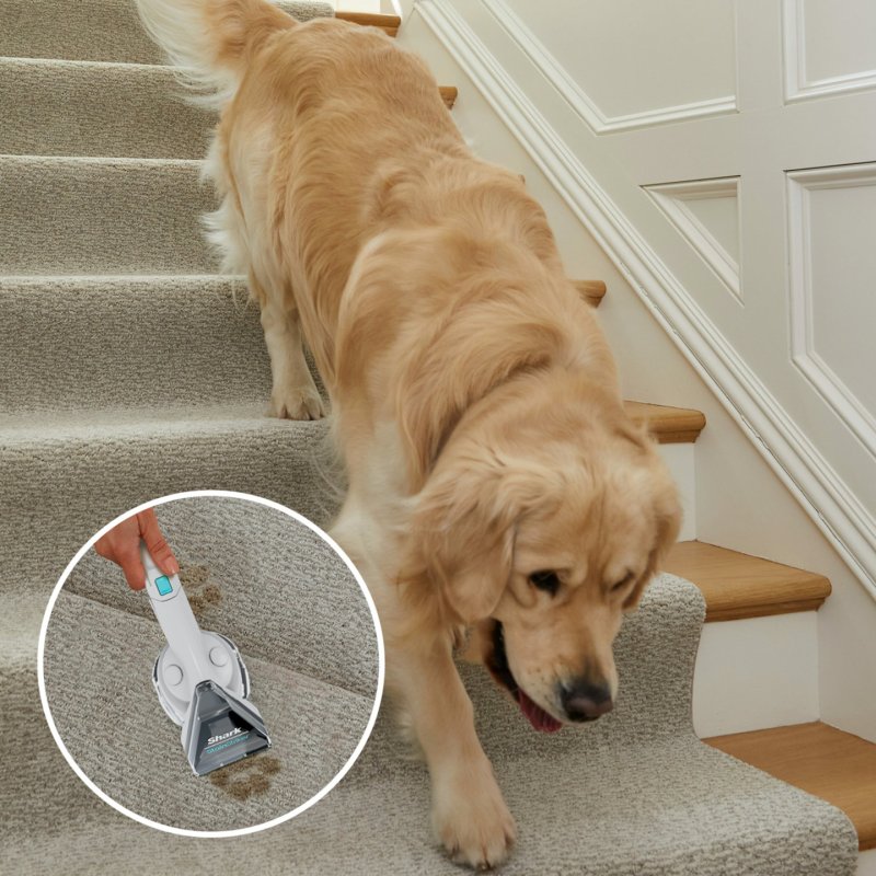 Shark PX200EUT machine de nettoyage de tapis À la main Profond/interim Blanc