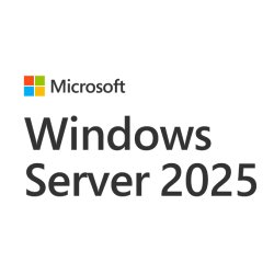 MS OEM WIN Svr DCAL 2025 1 Clt (EN)