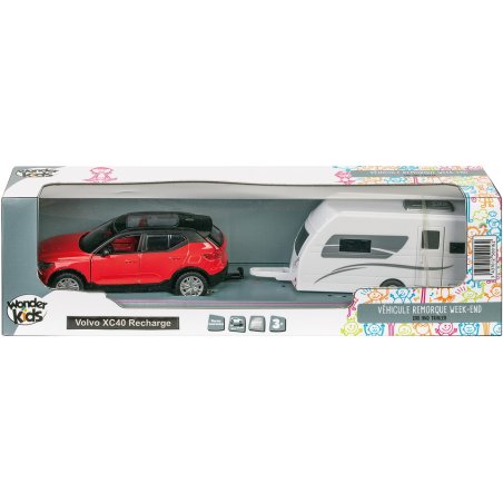 veh 1/43 lic rem met rf ass3