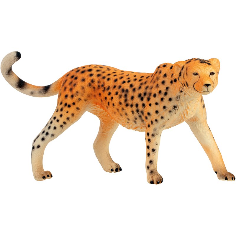 animaux jungle ass12 baril 12