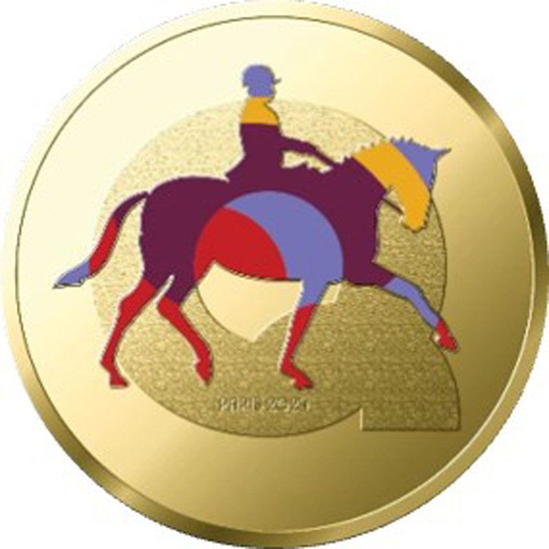 MEDAILLE JO24 PARALYMPIQUE Q