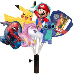 BALLONS LICENCE PANACHE PRE25