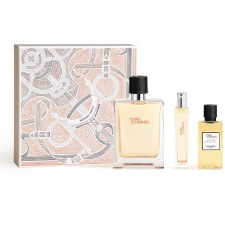 Terre D'Hermes Eau De Toilette 100 Ml Gift Set
