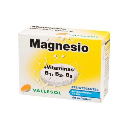 Vallesol Effervescent Magnesium B 24Comp