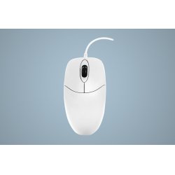 Active Key AK-PMJ1 souris Bureau Ambidextre USB Type-A Optique 1000 DPI