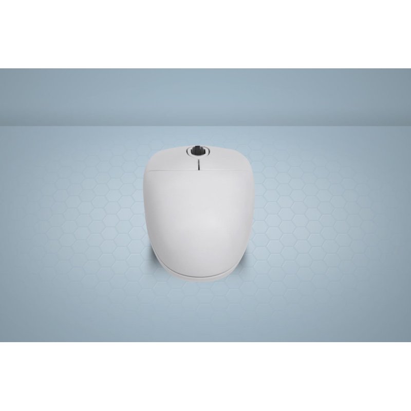 Active Key AK-PMJ1 souris Bureau Ambidextre USB Type-A Optique 1000 DPI