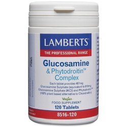 Lamberts Glucosamine & Chondroitin Complex 120 Tablets
