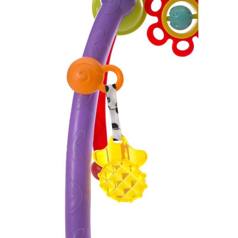 Playgro 0185475 gymnase et tapis d'éveil pour bébé Multicolore