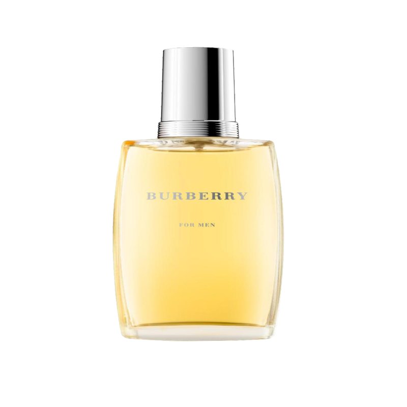 Burberry 34547031 eau de toilette 100 ml Hommes