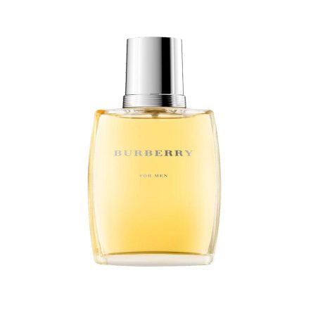 BURBERRY for Men Eau de Toilette 100ml Modern