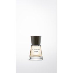 Burberry Touch Eau De Parfum 50ml