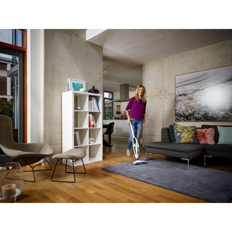 Regulus PowerVac 2in1