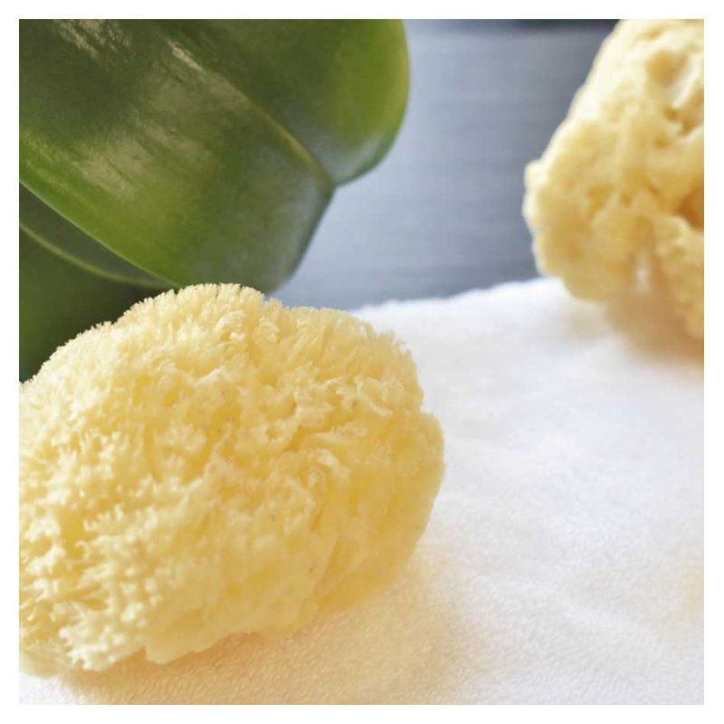 Beter 22227 Bath sponge/brush