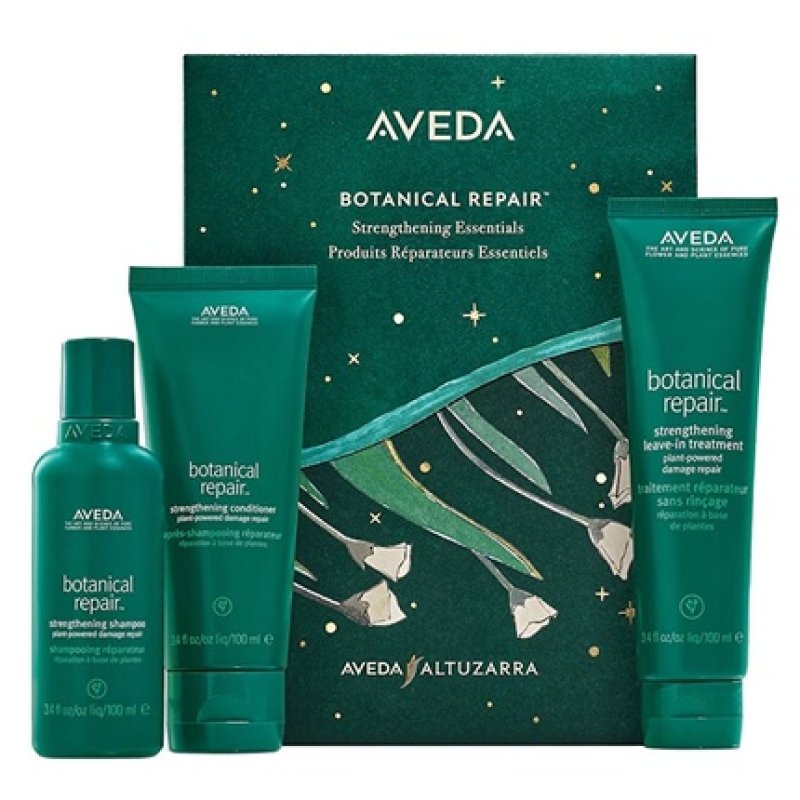 Aveda Botanical Repair Hair Care Gift Set