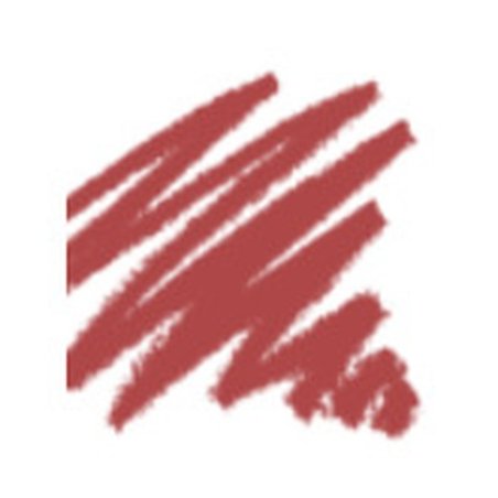 New Generation Lip Liner (Lip Liner) 1 gram Shade 04