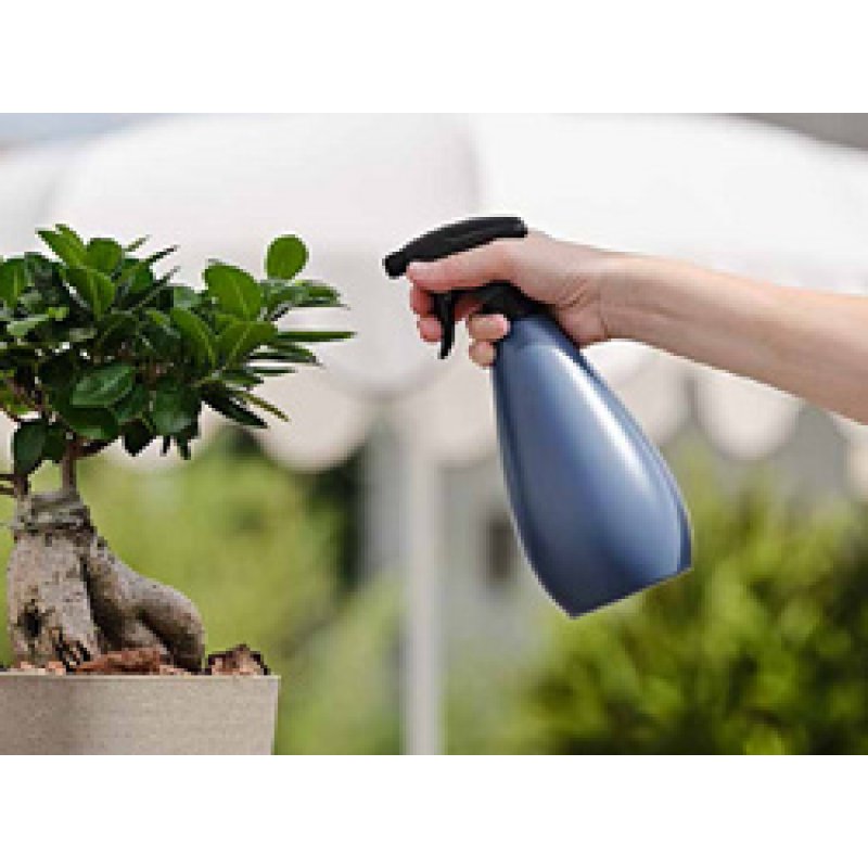 tera Vaporisateur pour fleurs "Spring", 0,75 litre, milk