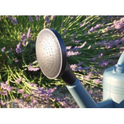 Poétic Pomme d'arrosage de rechange pour arrosoir de 6 L