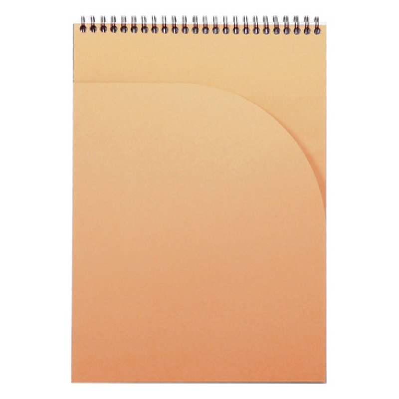 Rhodia 19920C bloc-notes A4 80 feuilles Noir