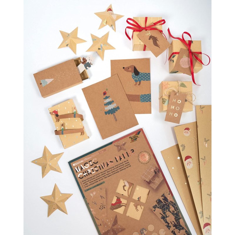 Folia 49898 card stock/construction paper 270 g/m² 20 sheets